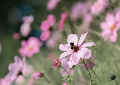 Spring Weddings at Gorwell Farm